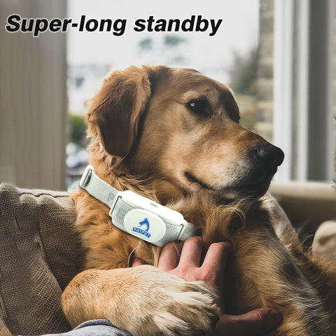 Patpet Anti Bark Rechargeable Dog Training Collar - New Smart Bark Sensor - Sound & Shock - A11 Model